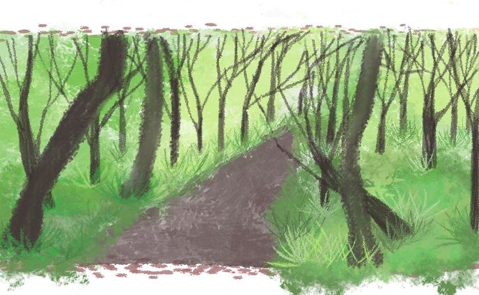 いつもの道　no.1(デジタル）