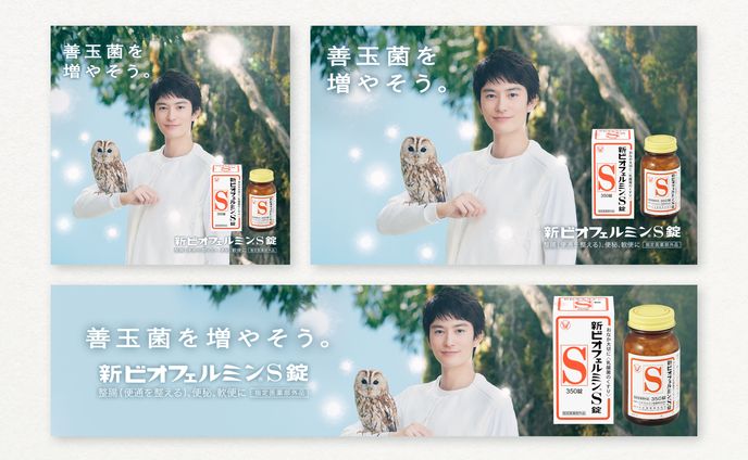 ビオフェルミン製薬 各種バナーアセット