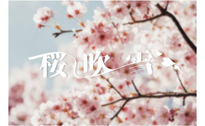 「桜吹雪」