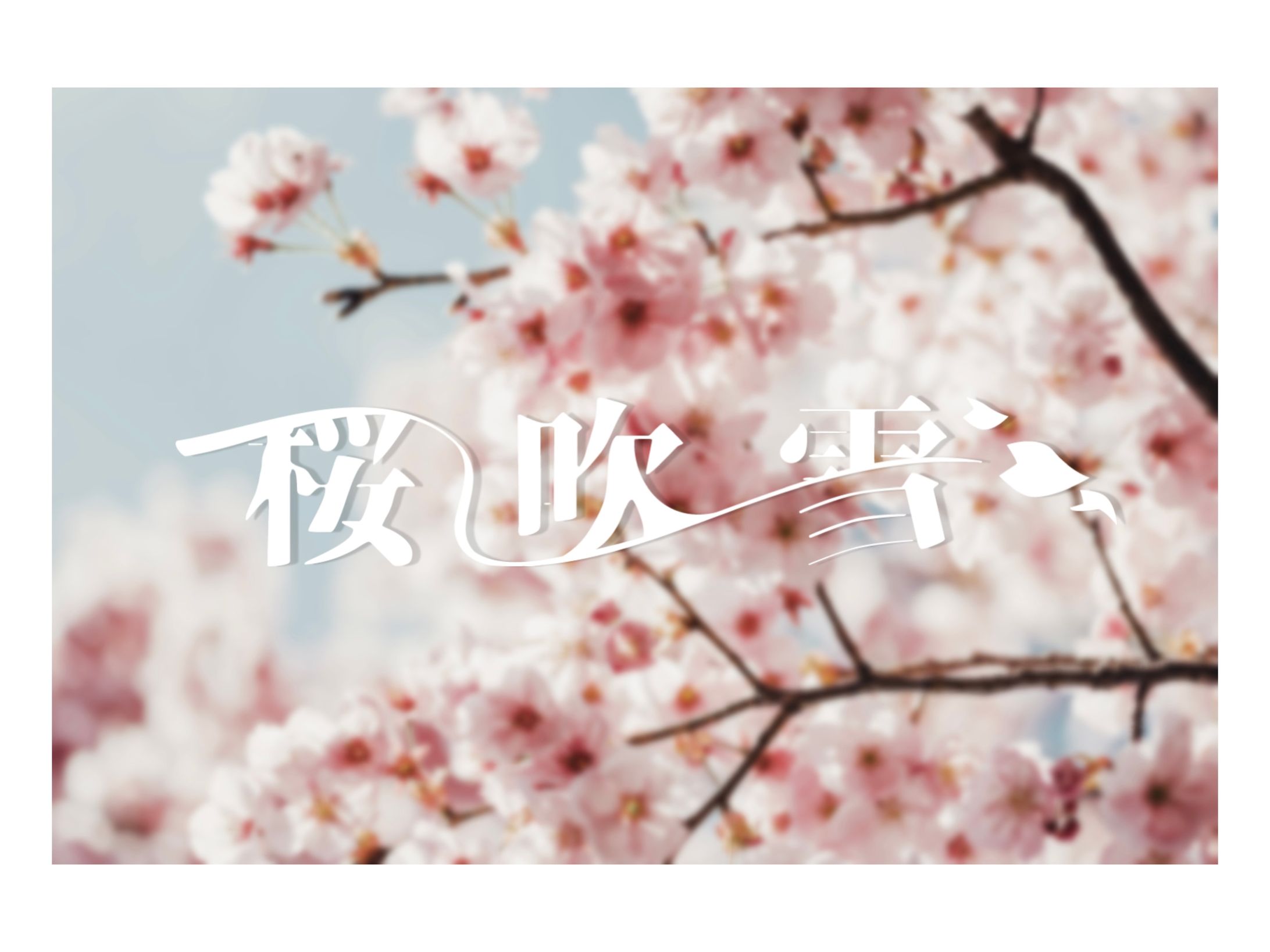 「桜吹雪」-1
