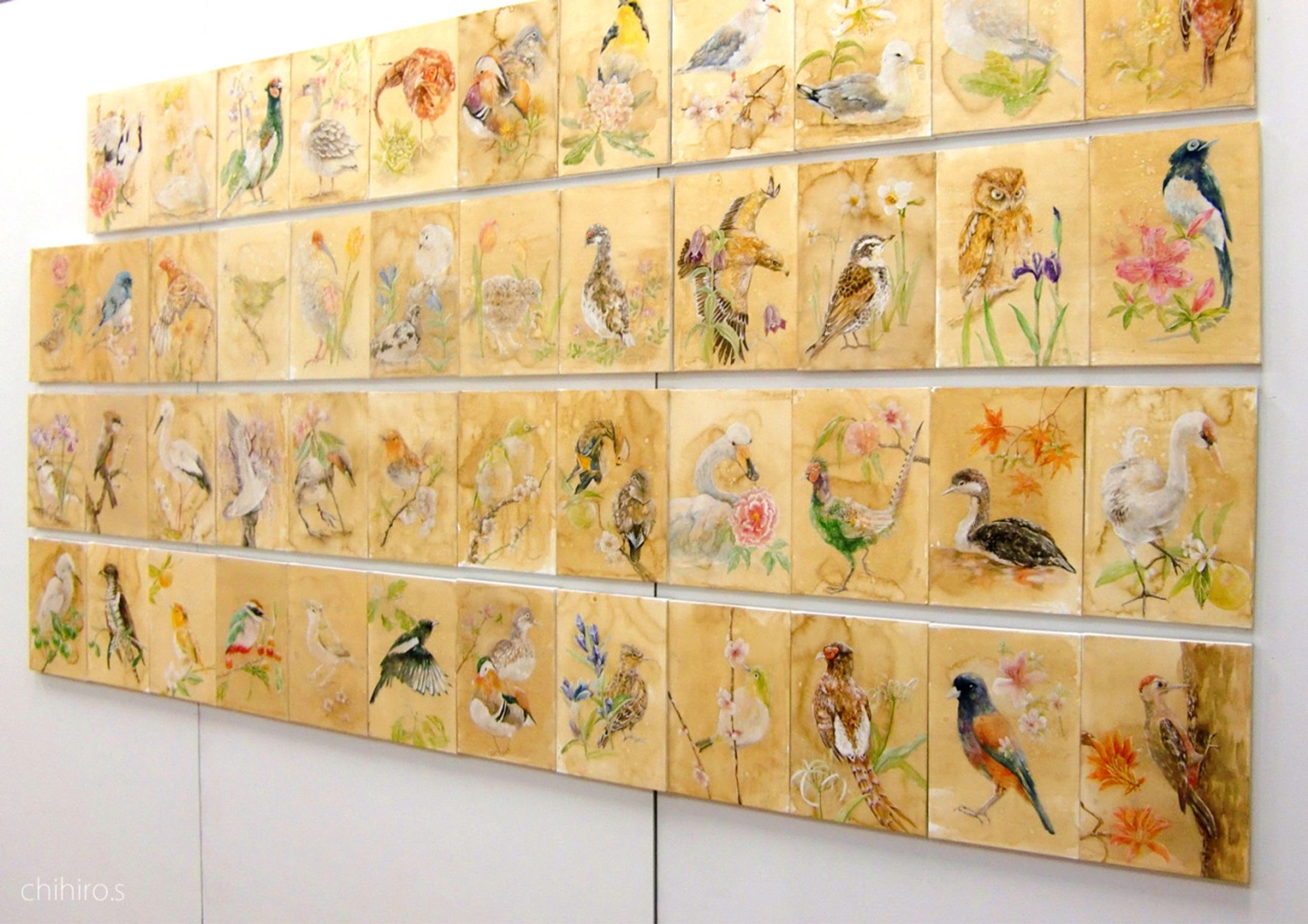 日本画「県鳥県花」-1