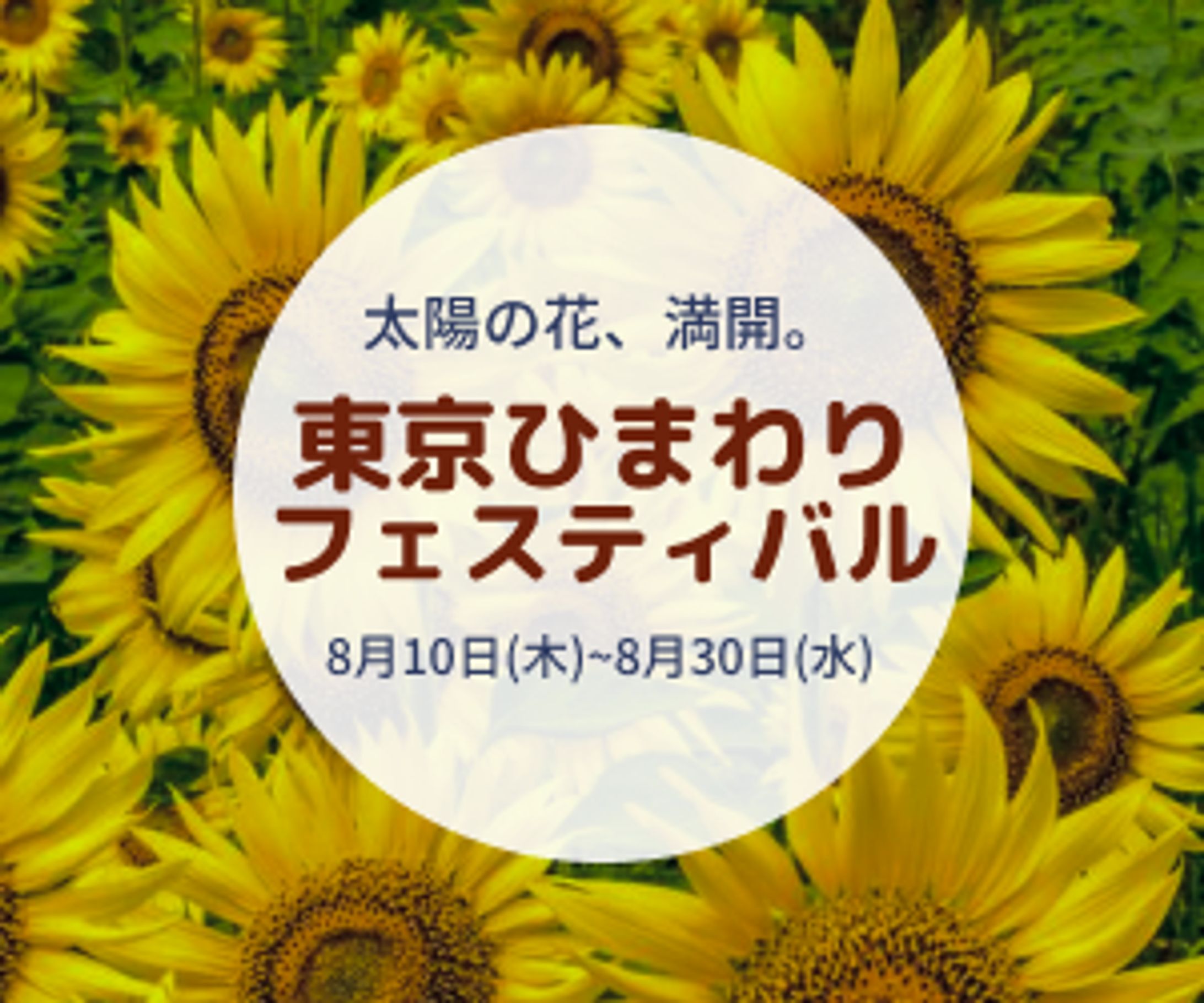バナー制作-1