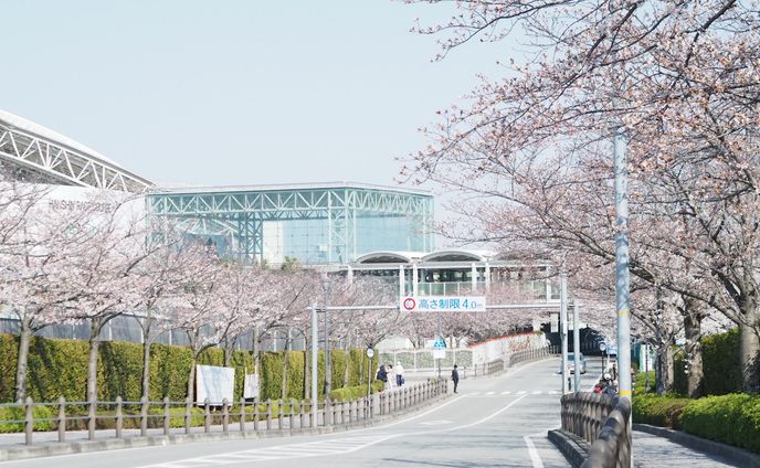 【写真撮影】阪神競馬場付近