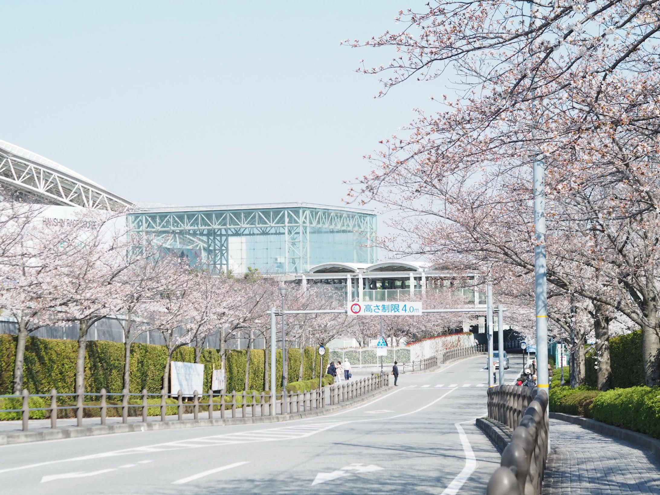 【写真撮影】阪神競馬場付近-1