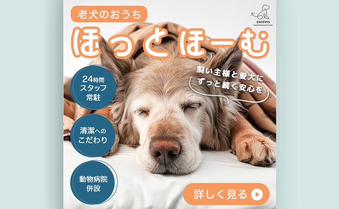 【サンプル】Instagram用広告