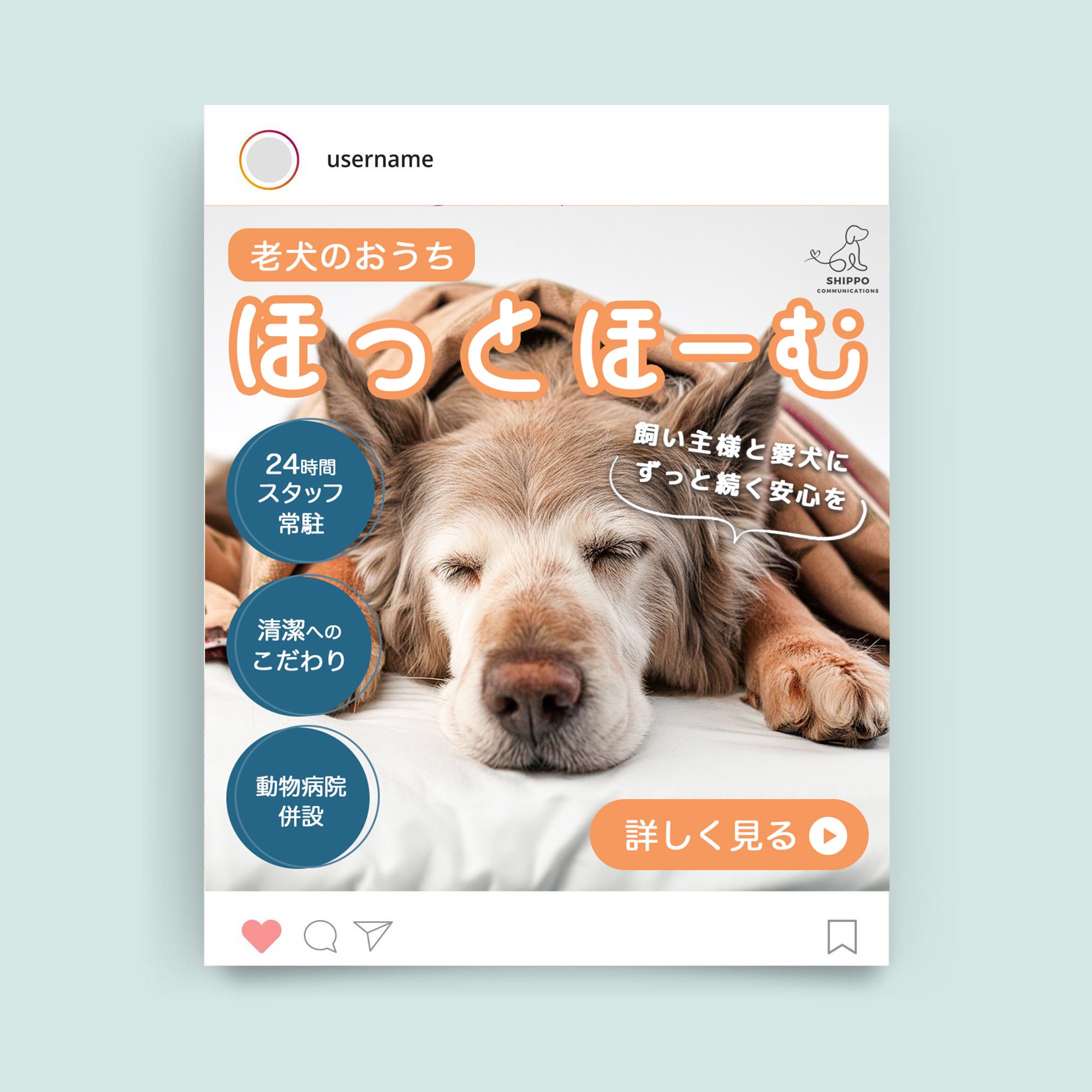 【サンプル】Instagram用広告-1
