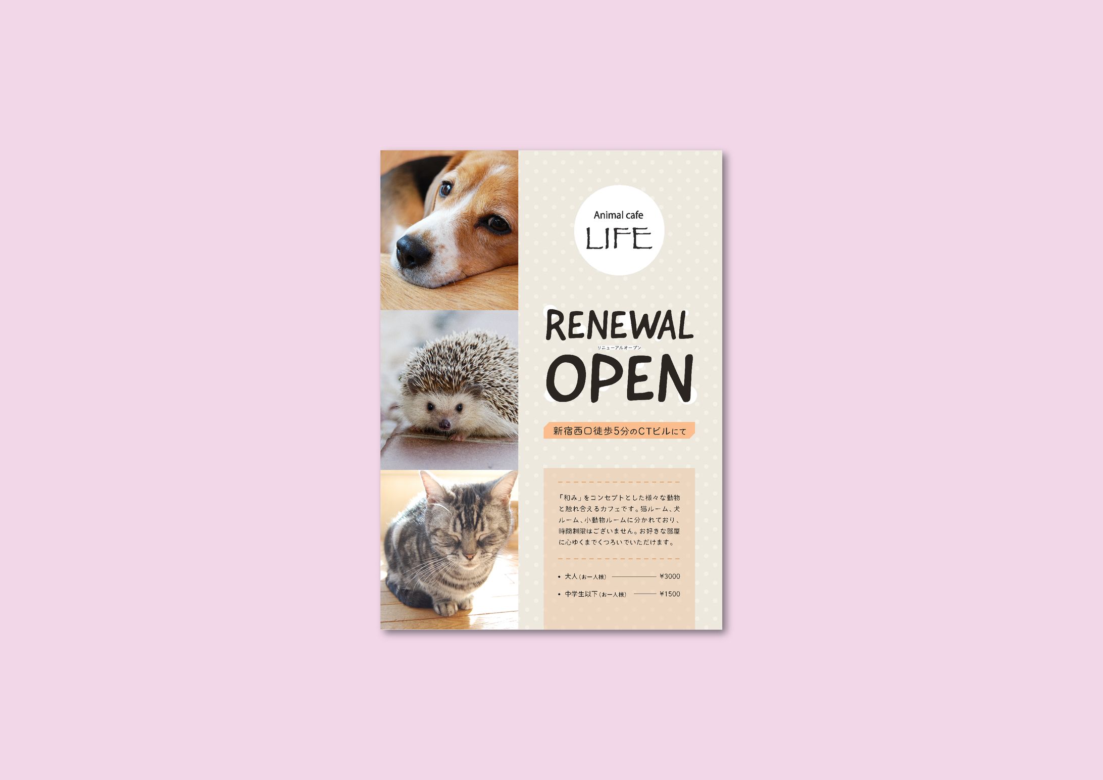 課題：animal cafeのリニューアルオープン告知チラシ-1