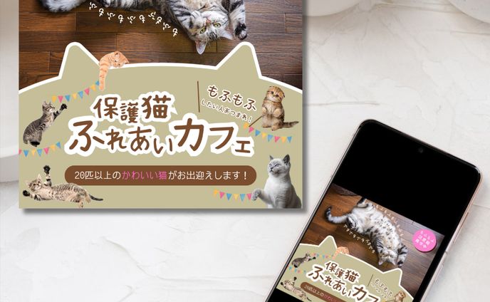 保護猫カフェ