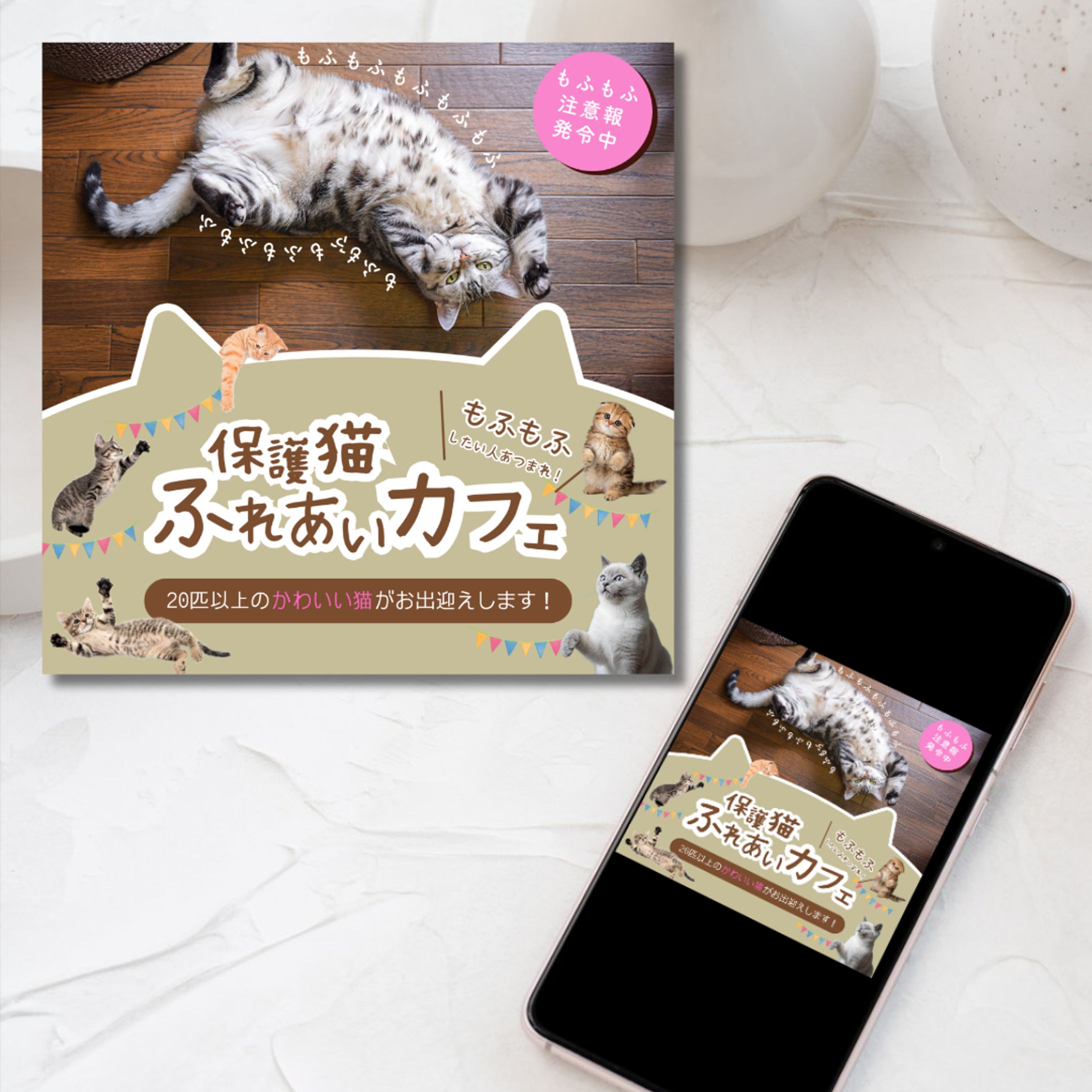 保護猫カフェ-1