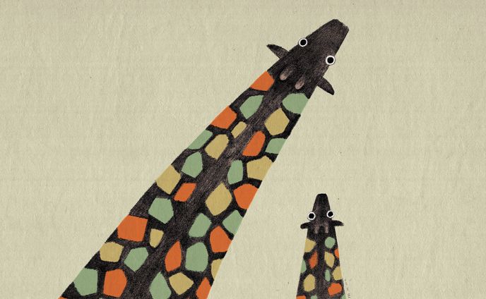 giraffe