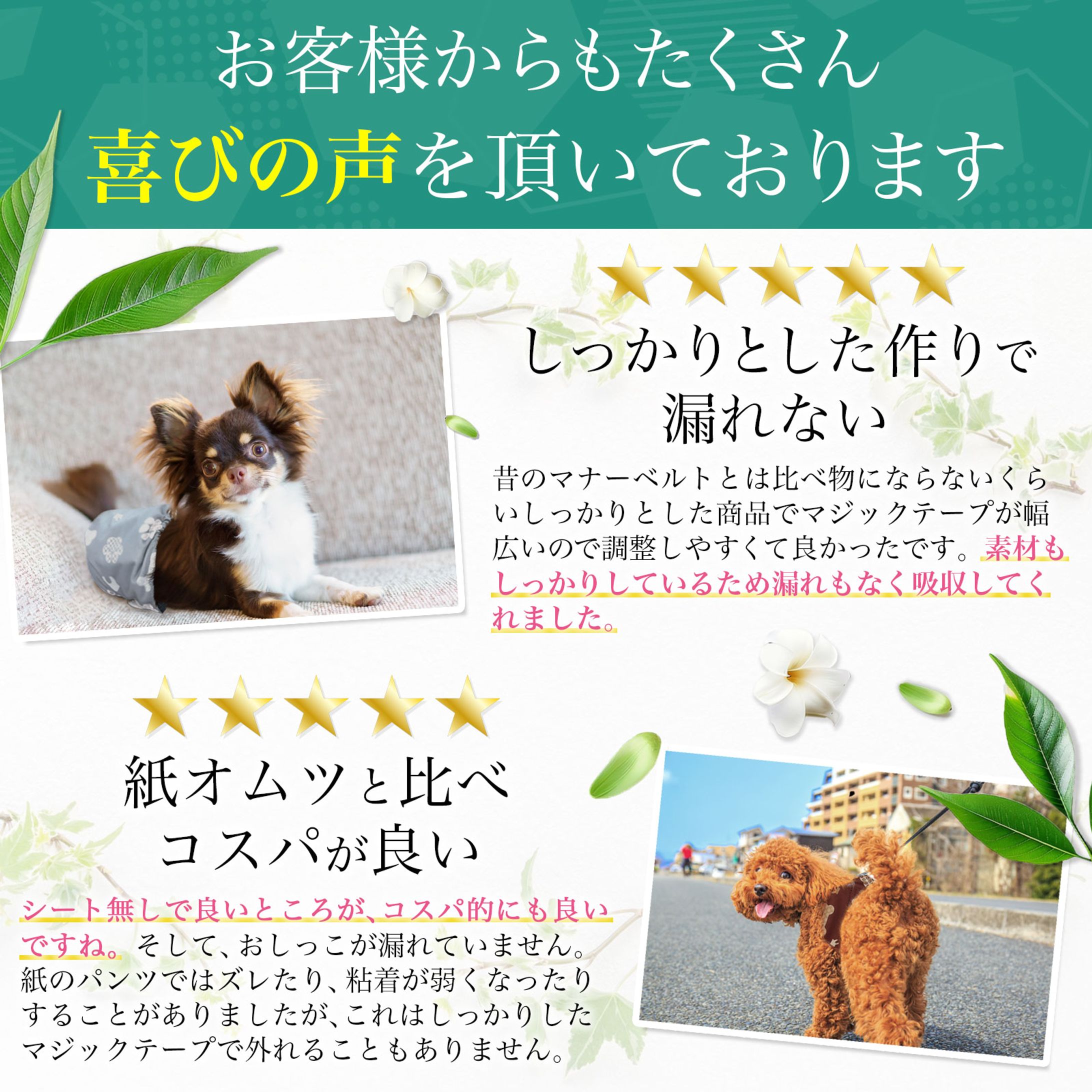 （HiQuolitaPet様）ワンちゃん用マナーベルト-1