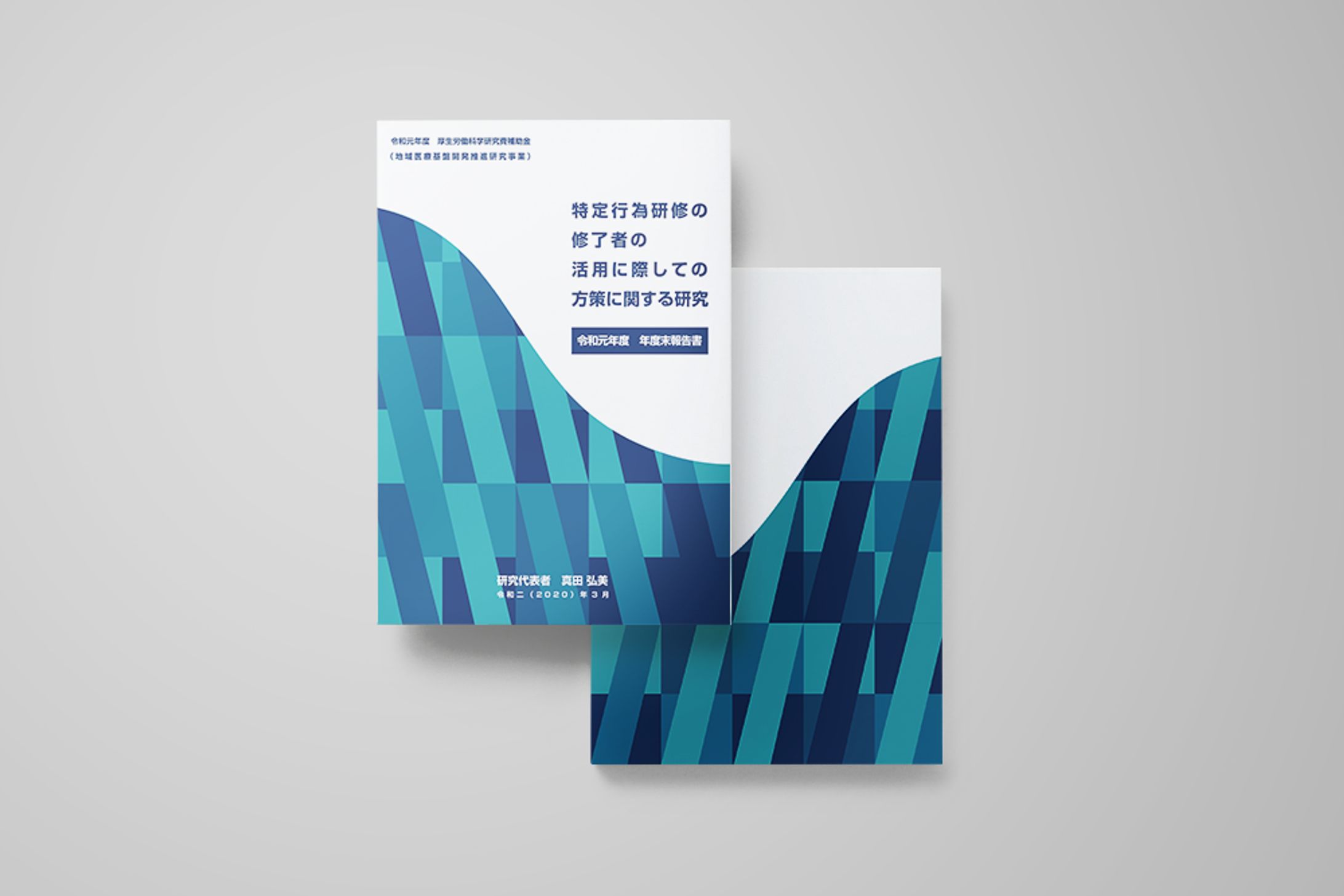 厚生労働科学研究費補助金 報告書 - Graphic-1