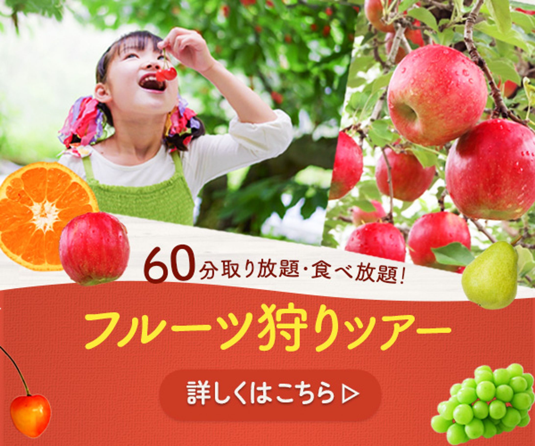 フルーツ狩りツアー-1