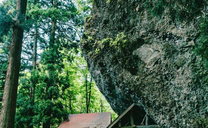 📍福井県 勝山市

GENICの取材で、福井県勝山市を訪れました。
⠀
⠀
1-2. 迫力満点の大岩が鎮座する、大屋谷白山神社。今にも転がってきそうな角度で、大丈夫とわかっていてもどきどきします。

3. いつか行ってみたいとずっと気になっていた恐竜博物館🦖 館内の恐竜たちはどれも生きているかのようにリアルで、子供たちが思わず泣いてしまうほど。楽しみながら学べるコーナーもあって、一日いたいくらいの場所でした。

4-5. ホテルハーヴェストスキージャム勝山の、恐竜をテーマにしたお部屋。「研究室」をコンセプトにしてある室内は、とにかく恐竜づくし！ドアやベッドが木箱みたいなデザインなのが冒険ファンタジーっぽくてわくわくしちゃう。

6. 道の駅にも、もちろん恐竜！福井で見つかった「フクイラプトル」くんがお出迎え。

7. 道の駅の隣でいちご狩り体験。甘く大きないちごを、30分間取り放題・食べ放題という太っ腹🍓人生初のいちご狩りで、いっそういちごが好きになりました。

8. なにかとスケールの大きな勝山市。杉の巨木も。どれだけの年月を生きてきたのか、想像するだけでも圧倒されます。

9. 日本一大きな大仏がある、越前大仏。壁一面の仏像は、まさに圧巻。

10. 有形文化財にも指定されている「花月楼」でランチを。郷土の食を大切にしたメニューで、ほっと一息。ランチの最後は、ごはんをひとくち残して名物の「ぼっかけ」にしていただきます。
⠀
⠀
#福井県
#勝山市
#genic_japan
#国内旅行