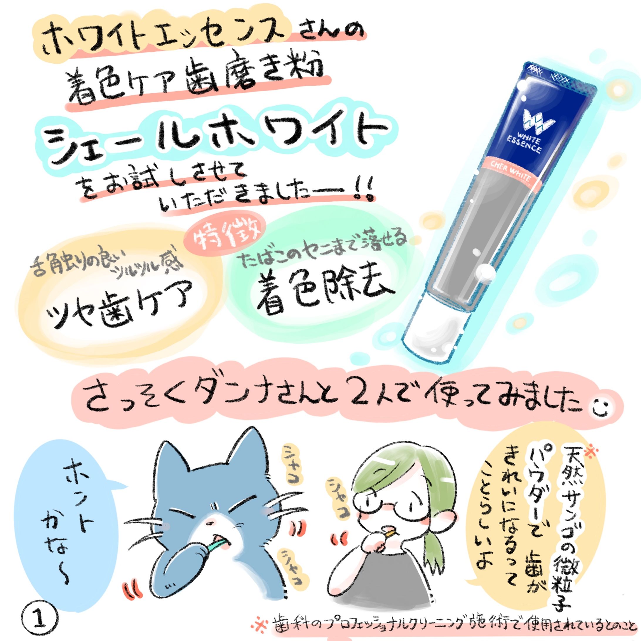 商品紹介漫画-1