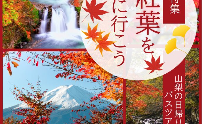 紅葉バスツアー【セミナー提出用作品】