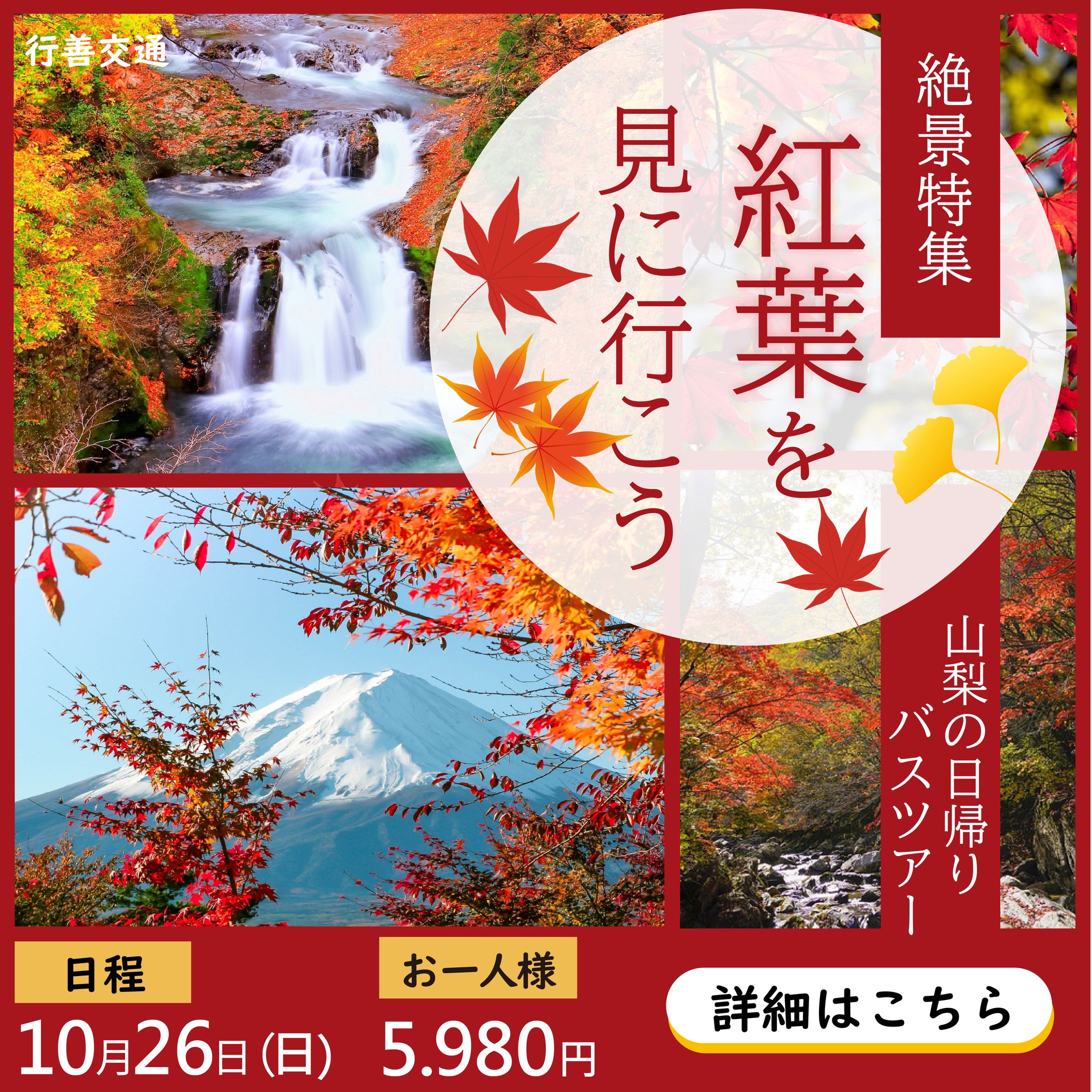 紅葉バスツアー【セミナー提出用作品】-1