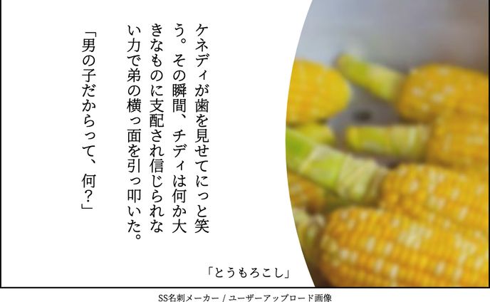 japan、あらすじ