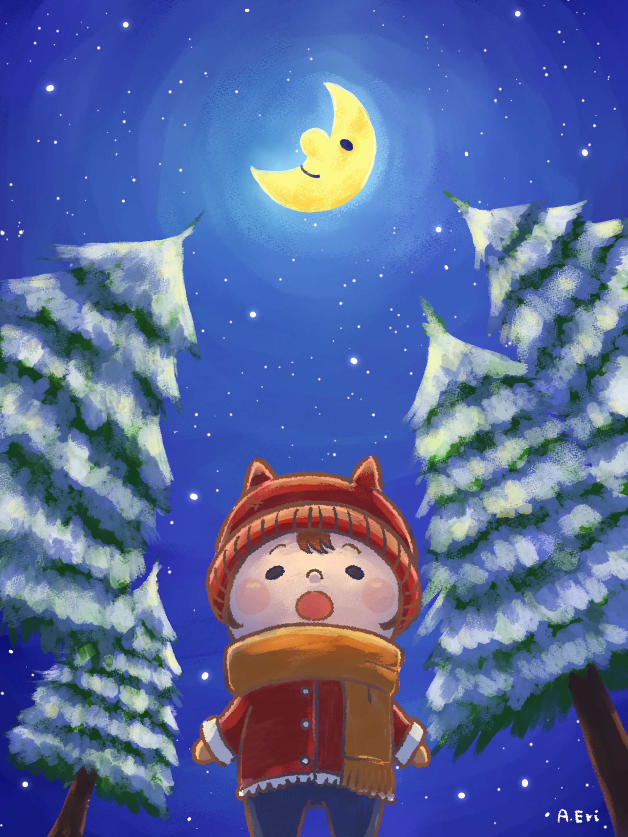 よく晴れた冬の夜-1