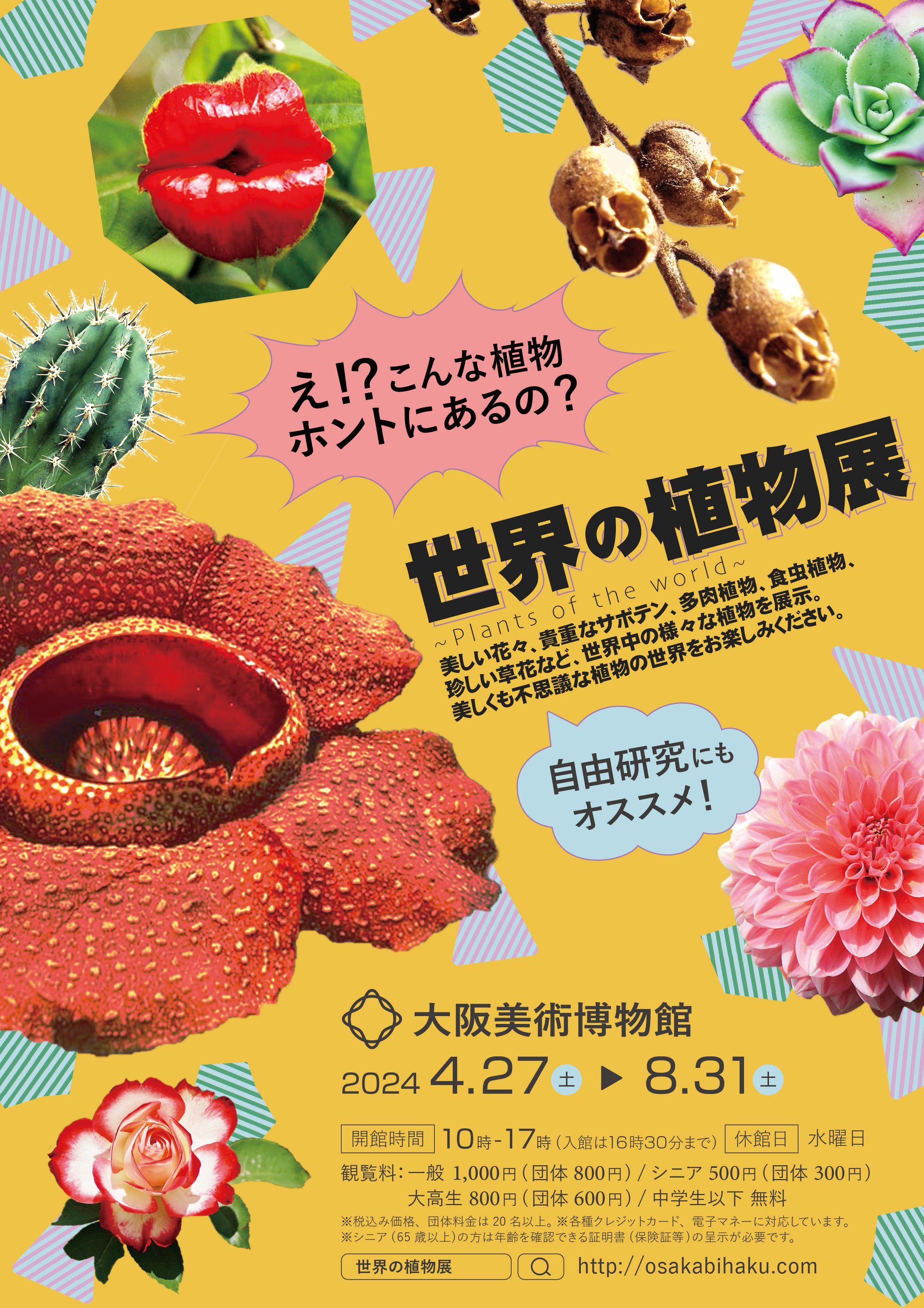 【Illustrater】職業訓練校：世界の植物展-1
