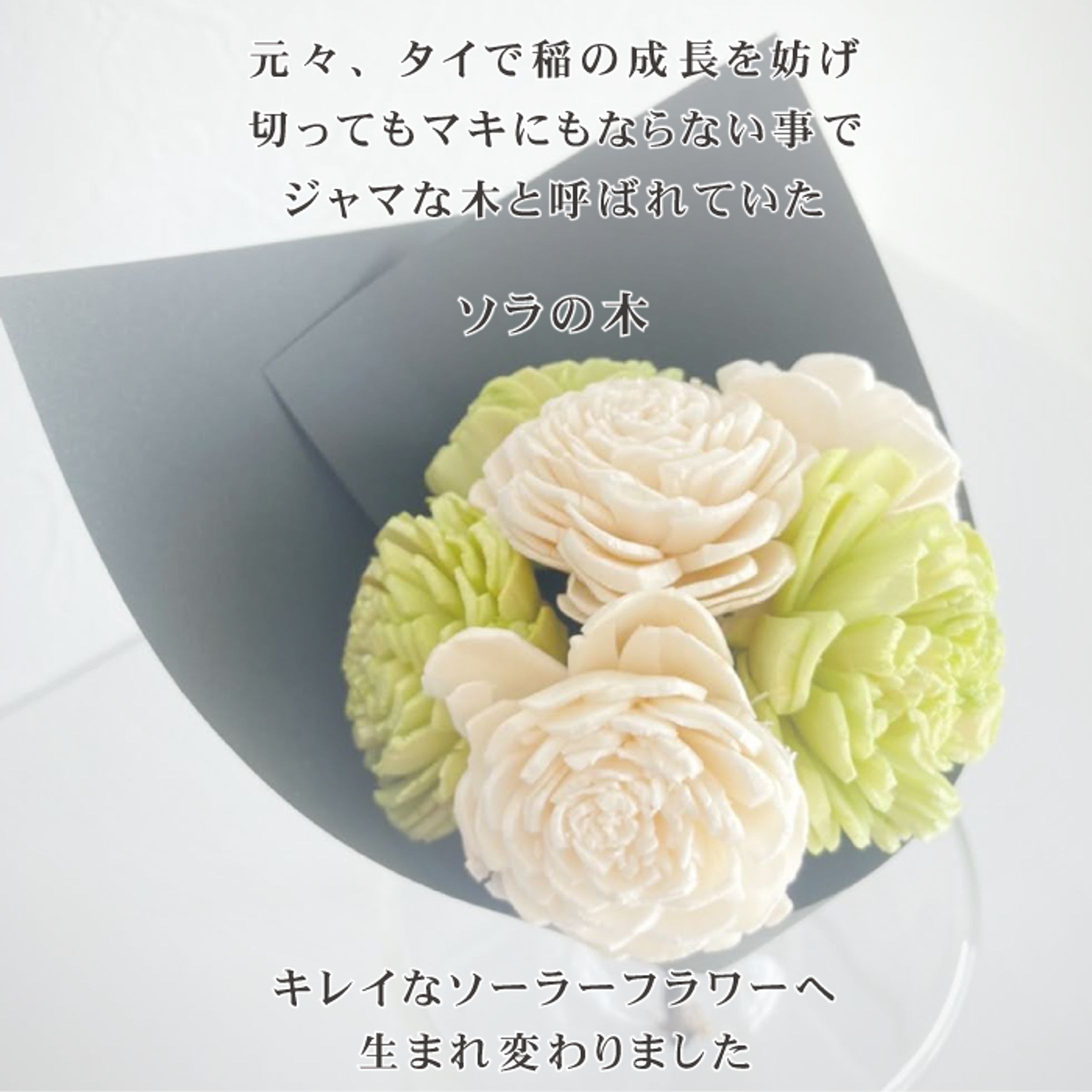 インスタ用画像-1