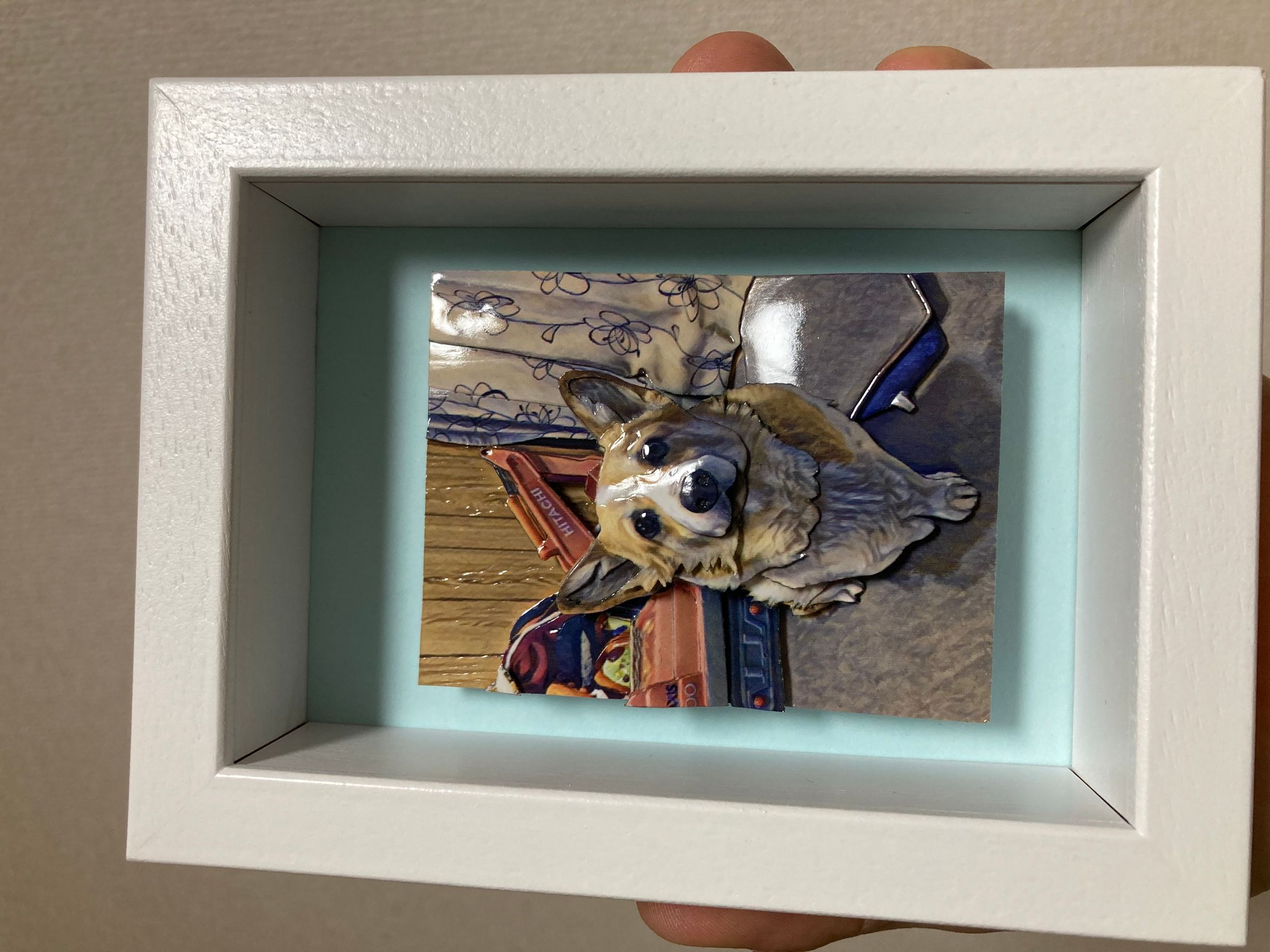 コーギーちゃん-1