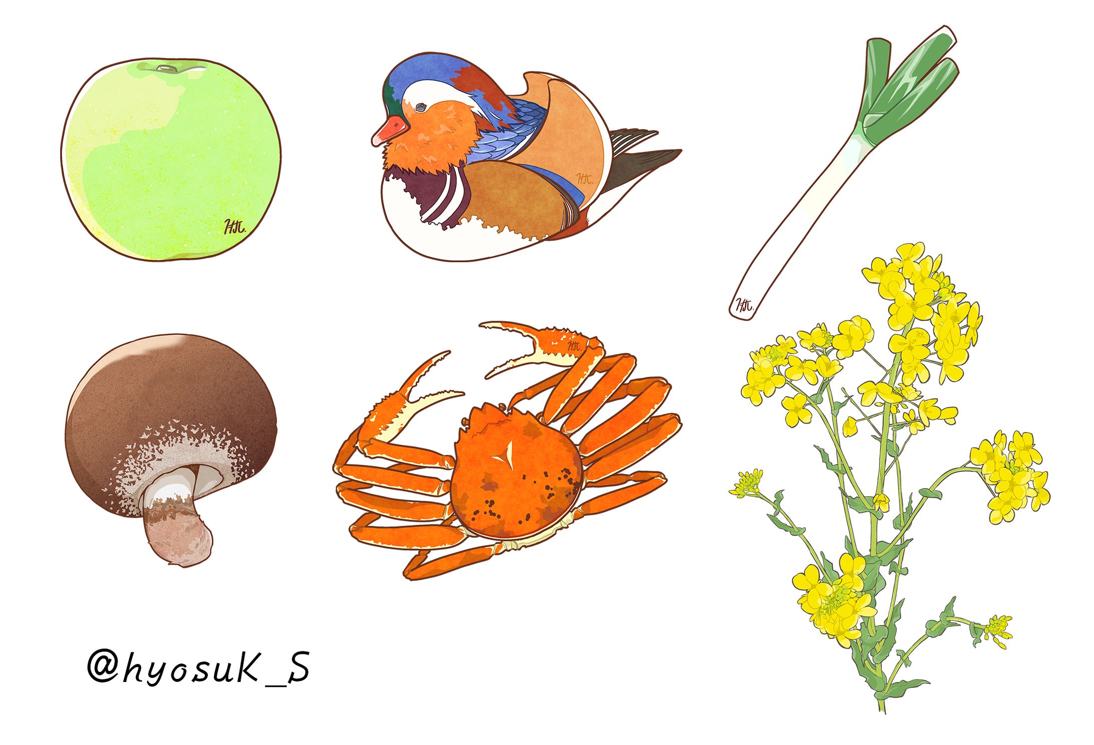生き物・植物イラスト-1