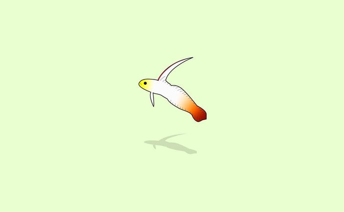 ハタタテハゼ