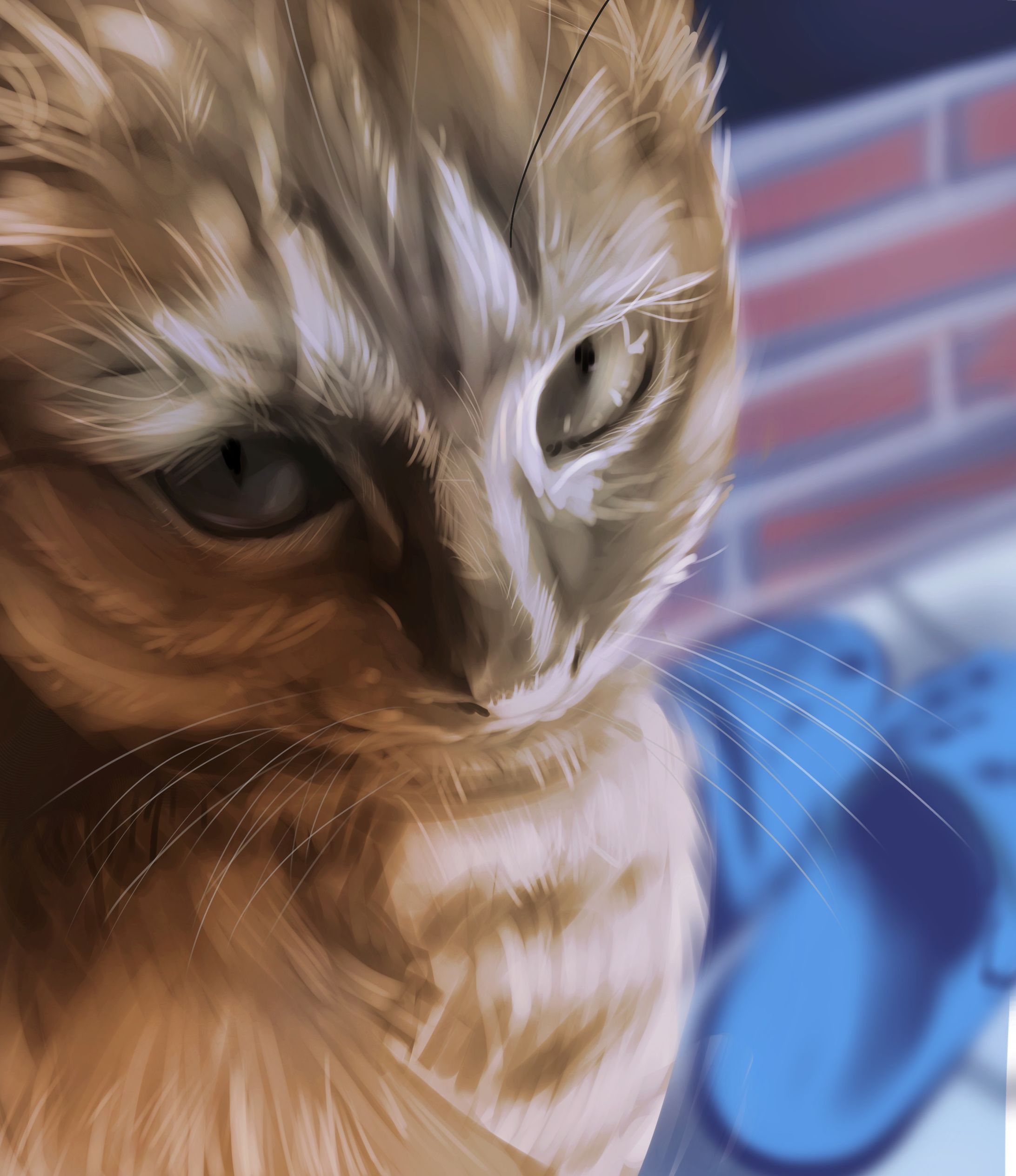 うちの猫/猫の日イラスト-1