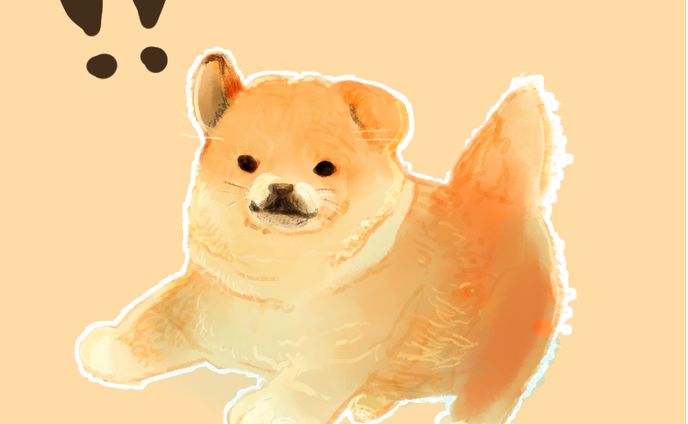 子柴！