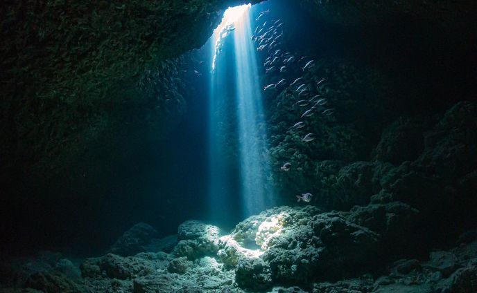 水深20mでこの輝きを見せる
光の力って凄いなって思うわけです。

This glow at a depth of 20 meters
The power of light is amazing.

#宮古島 #miyakojima #miyakoisland #okinawa 

#nature #scubadiving #diving #divinglife #underwater #underwaterphotography #ocean #oceanlife #sea #sealife #travelphotography #ダイビング #tg6