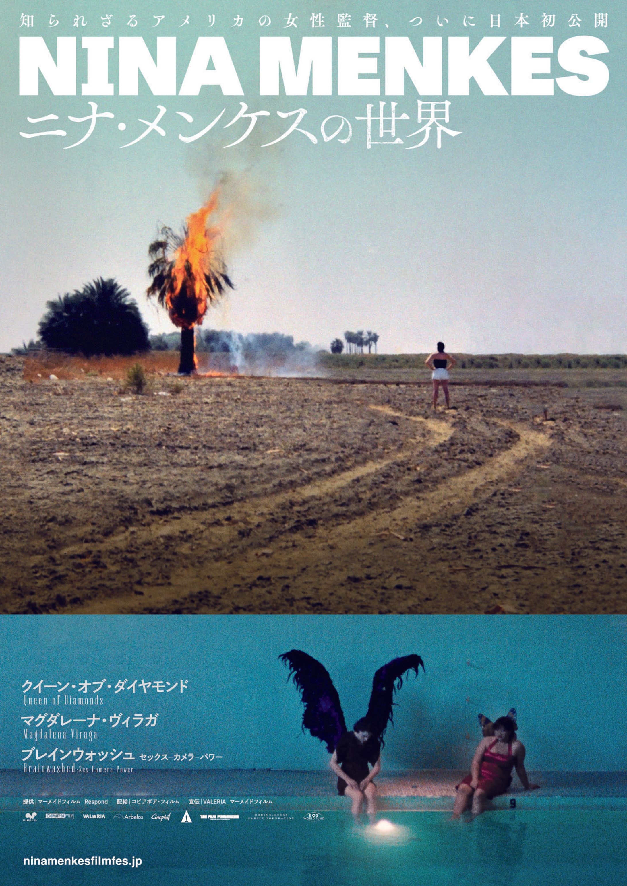 映画　ニナ・メンケスの世界-1