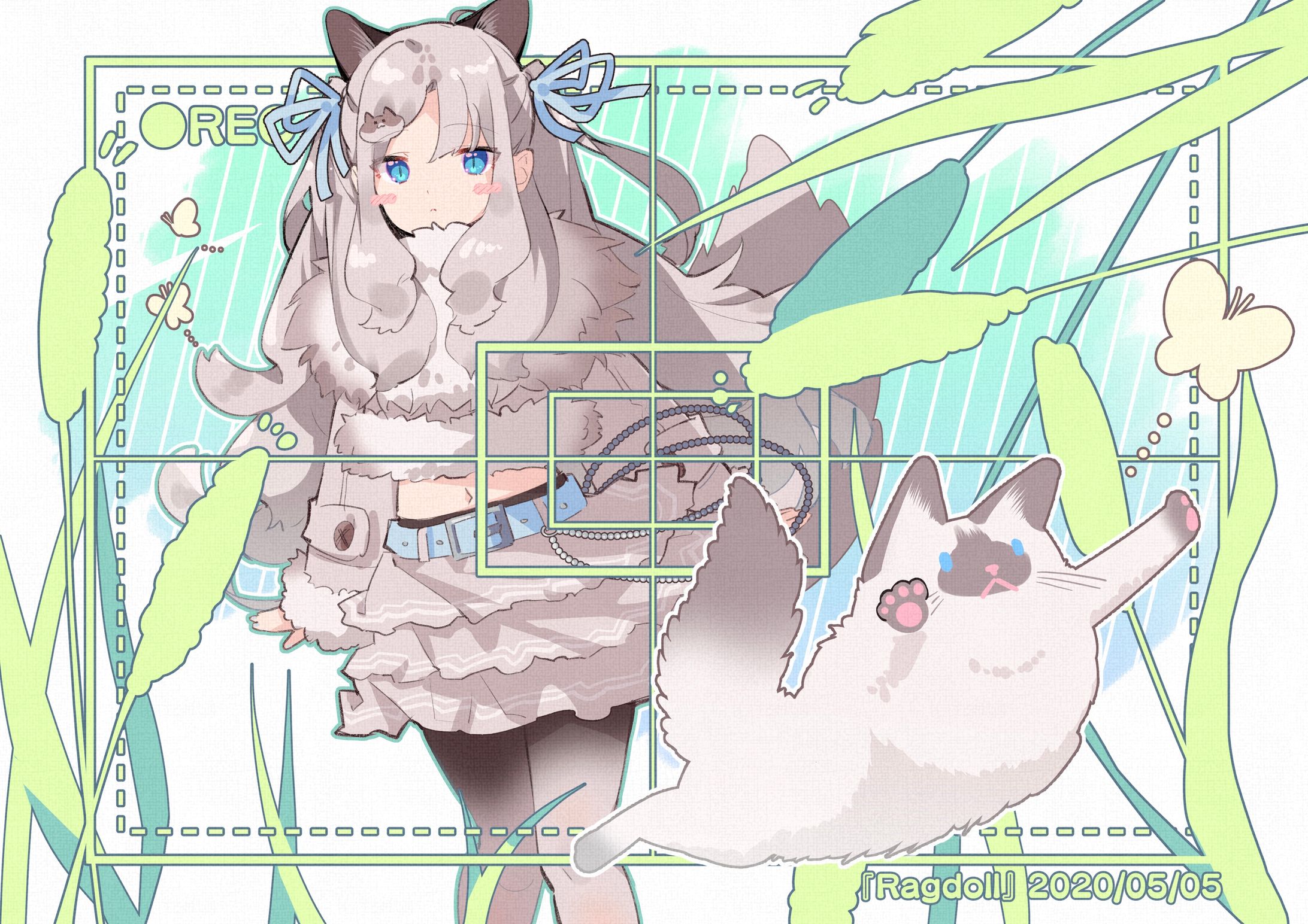 ▶やせいの ラグドールが あらわれた！-1