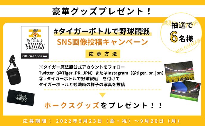 no、キャンペーン