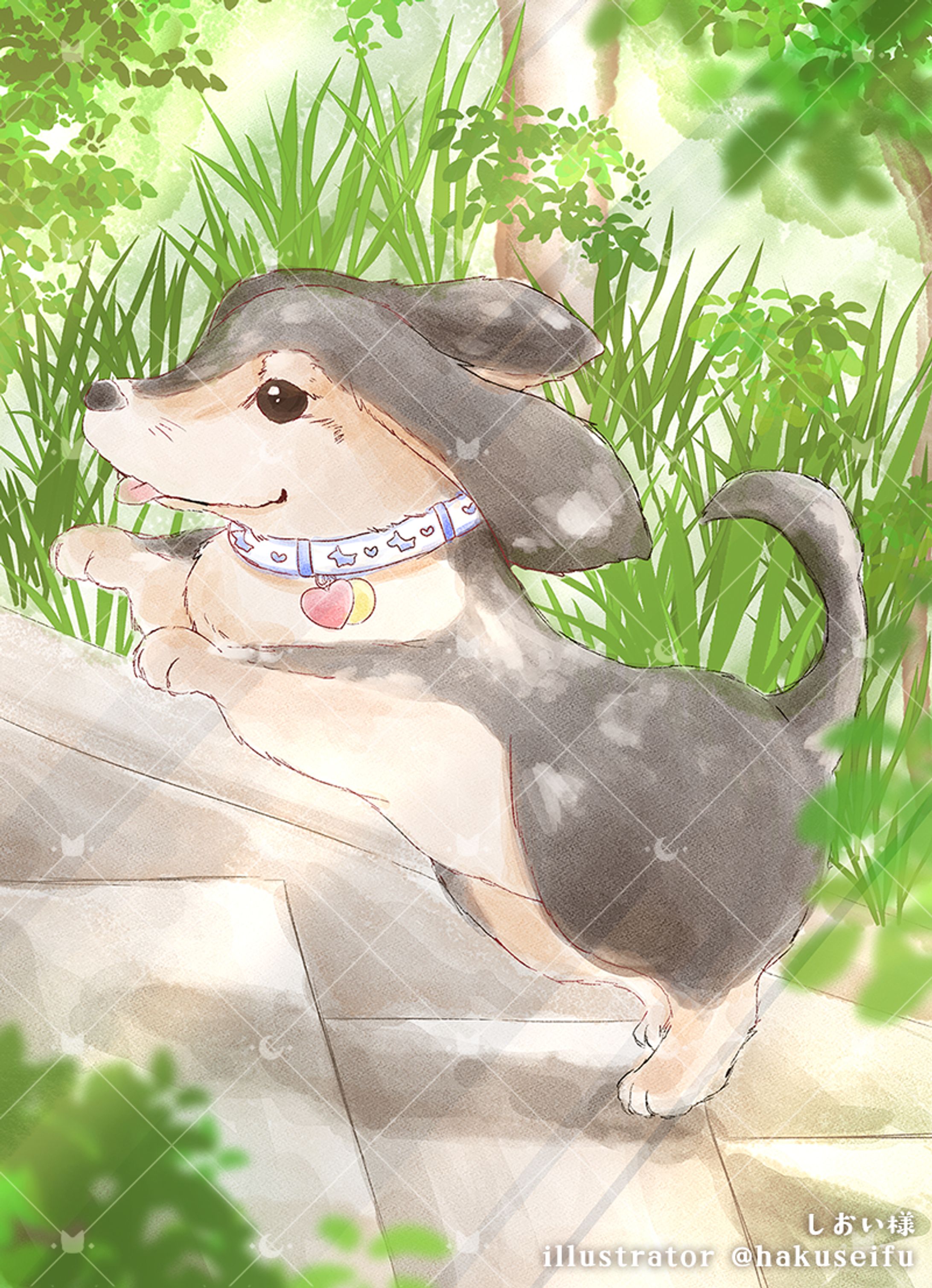 しおい様 ／ illust-1