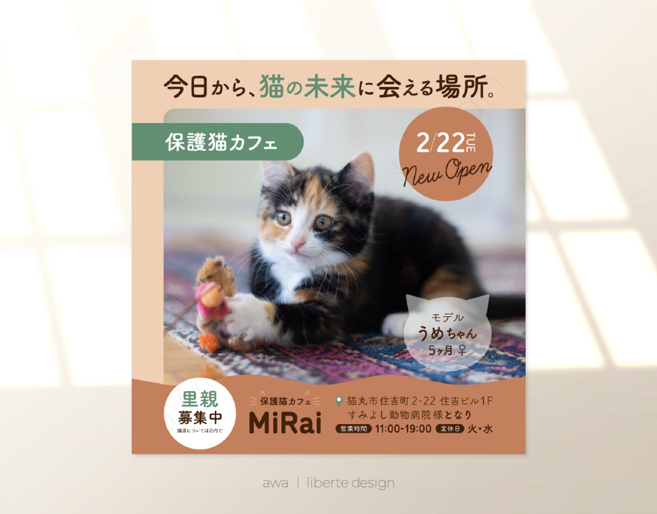 Instagram｜保護猫カフェ新規オープン告知-1