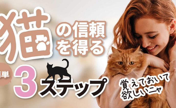 動物系