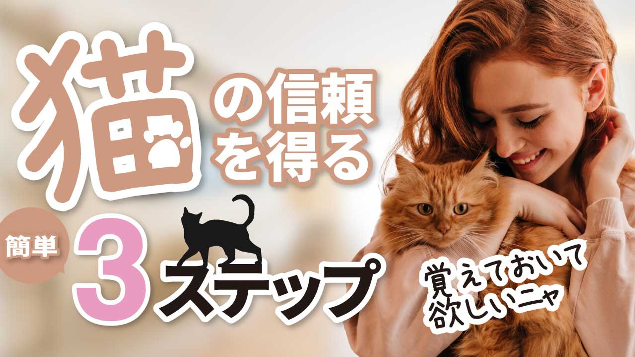 動物系-1