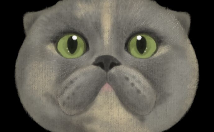 猫、クロスフェード