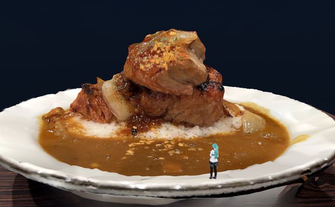 肉とカレー（3Dスキャンワールド）