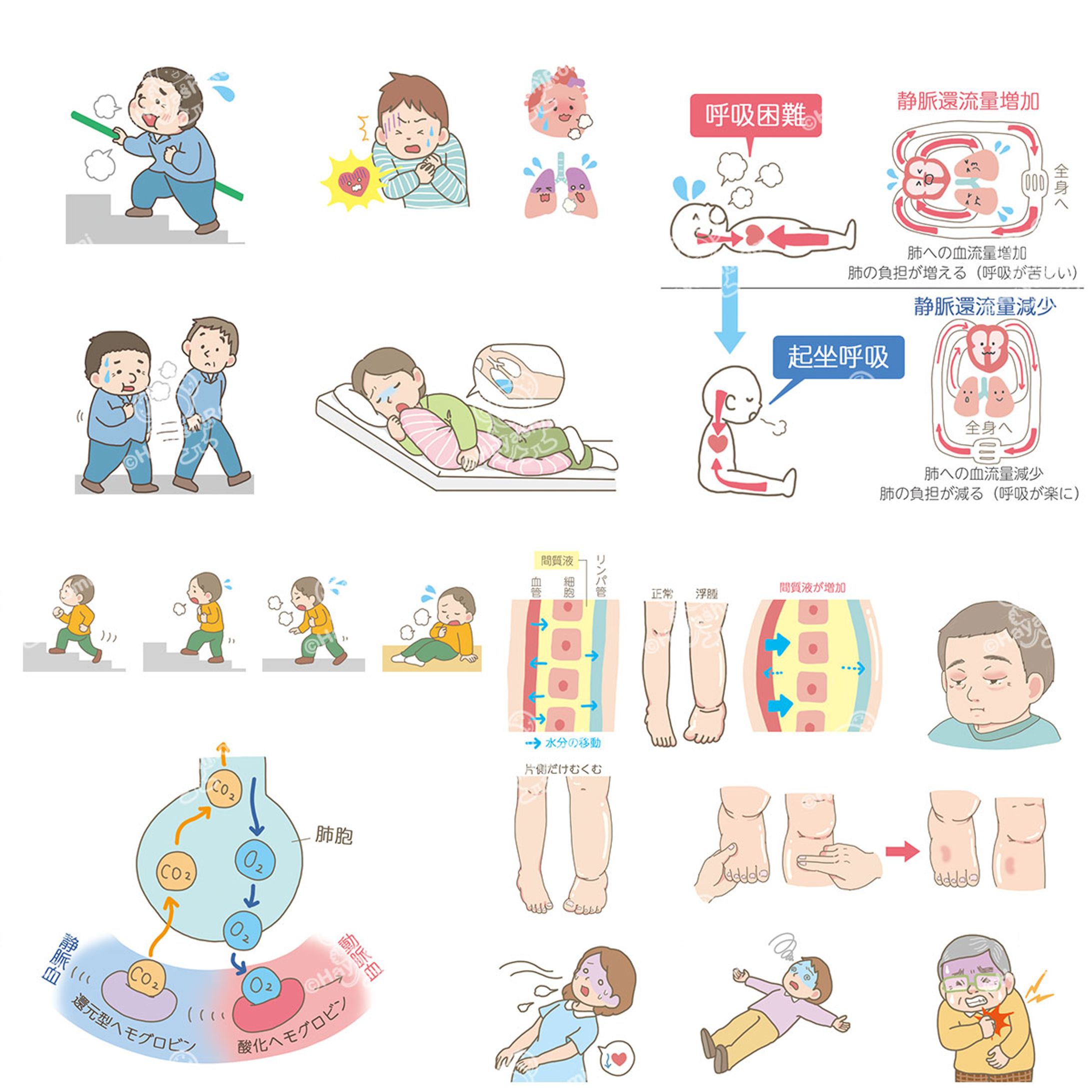 メディカ出版『NEWはじめての循環器看護』-1