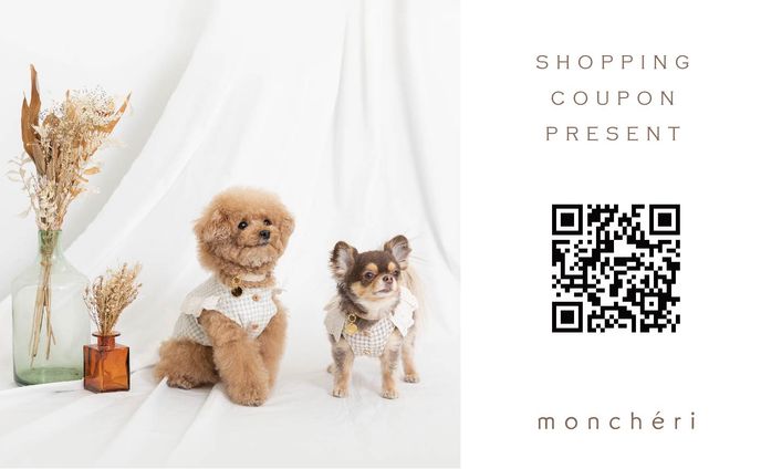 shop card