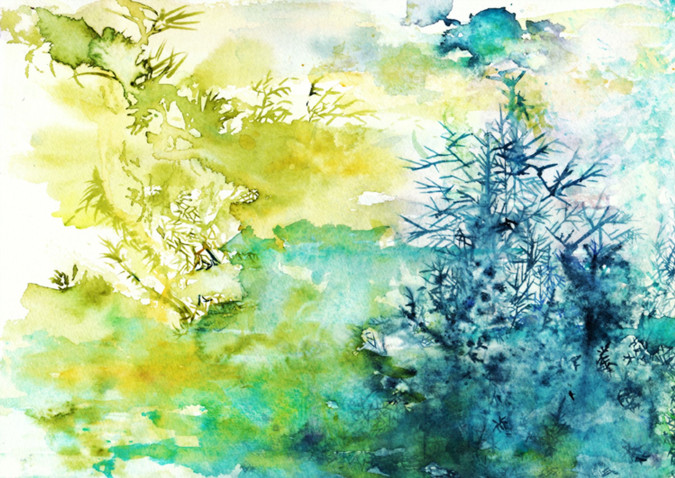 広がる-1