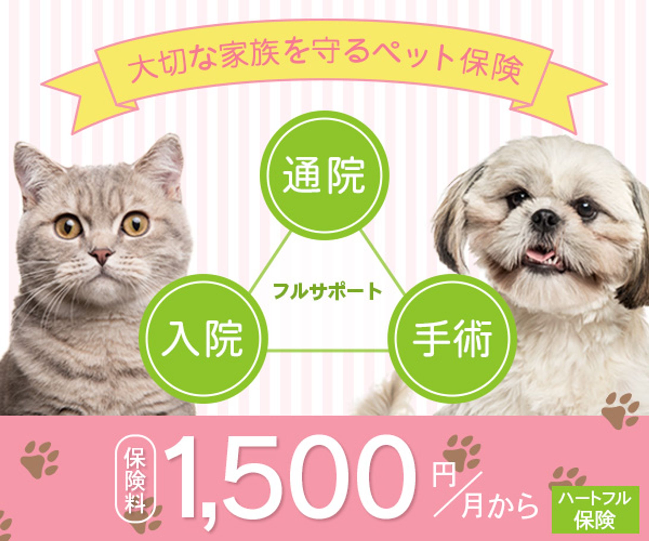 【バナー】ペット保険宣伝①-1