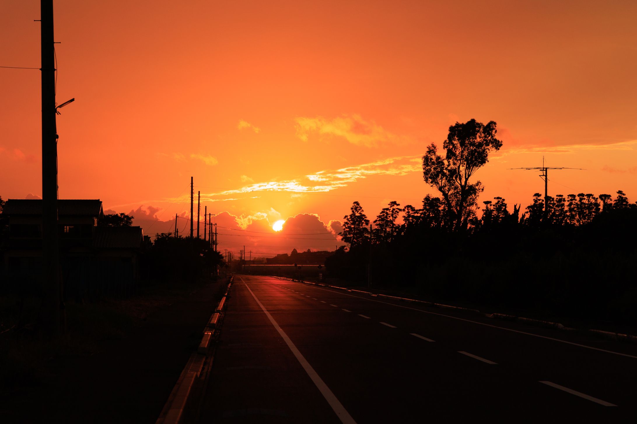 撮影サンプル-1