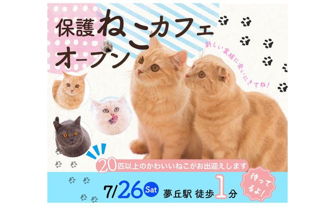 架空♢保護ねこカフェバナー