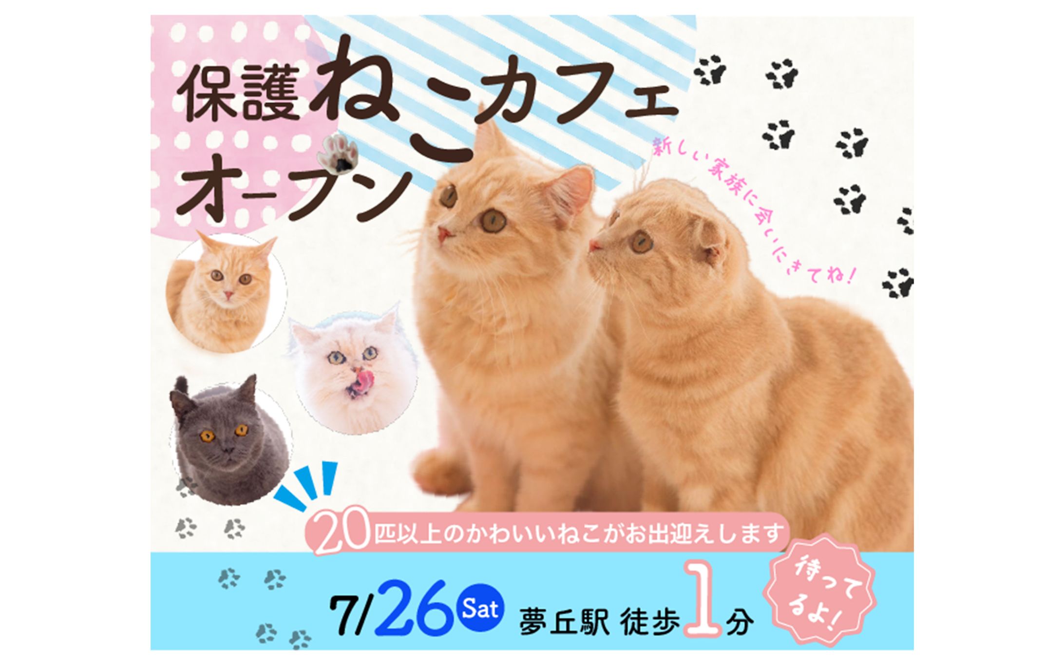 架空♢保護ねこカフェバナー-1