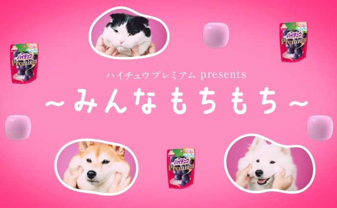 web cm、プレミアプロ