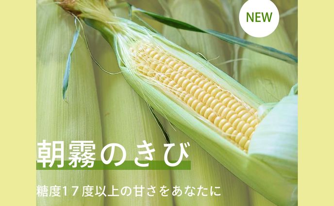 ECサイトに使用するクーポン