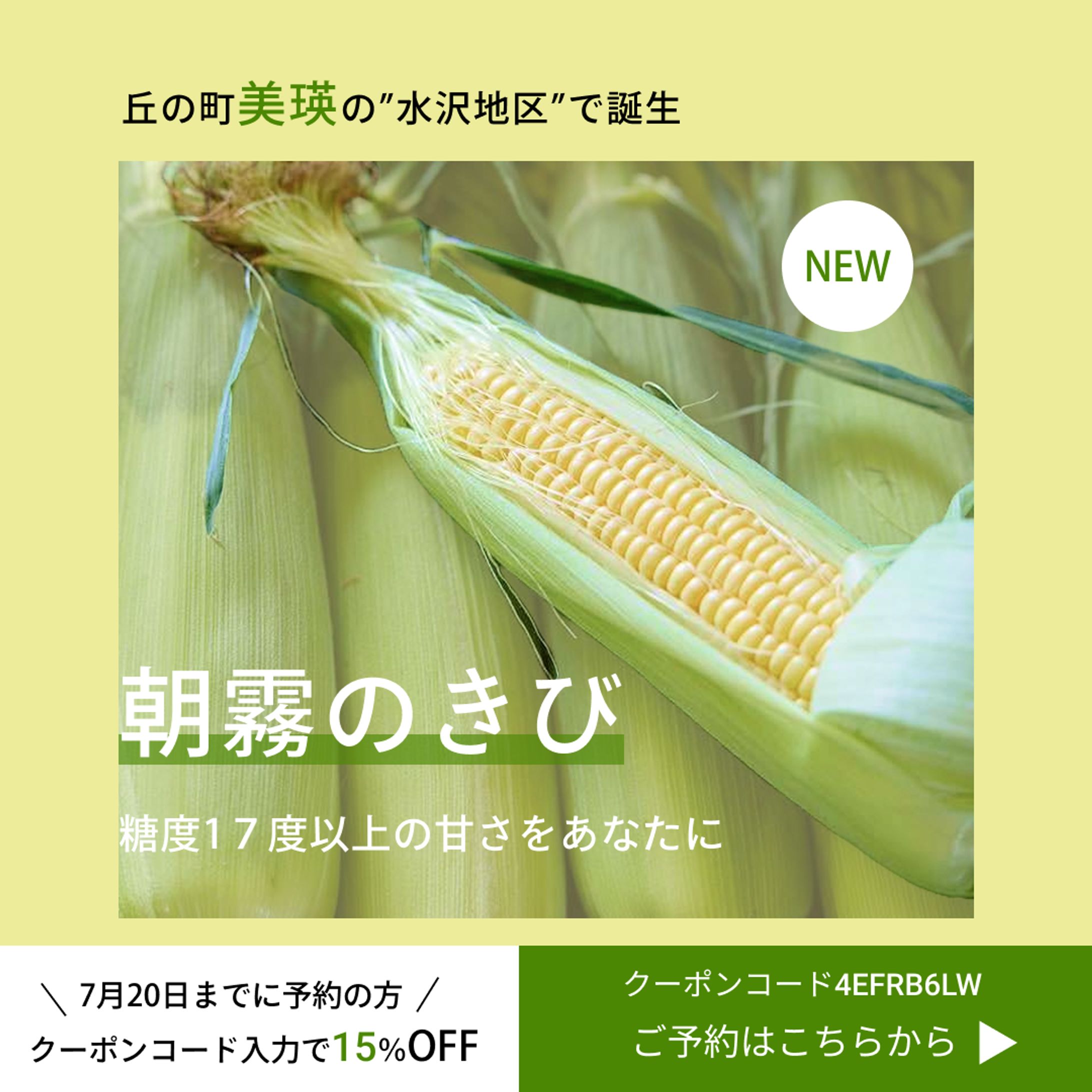 ECサイトに使用するクーポン-1